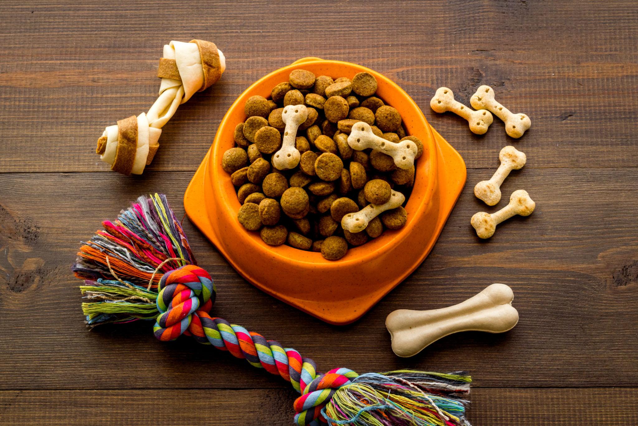 Shop premium pet essentials for happy paws